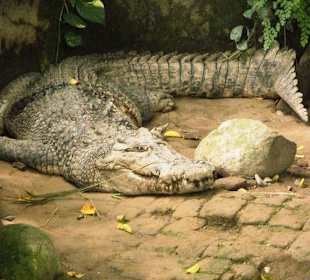 Reptilienpark