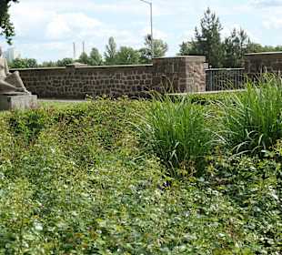 Unterwegs in Magdeburg