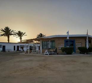 ORCA Dive Club Tulip