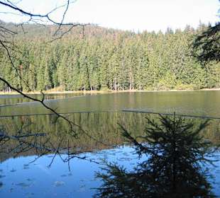 Großer Arbersee