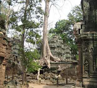 Ta Prohm