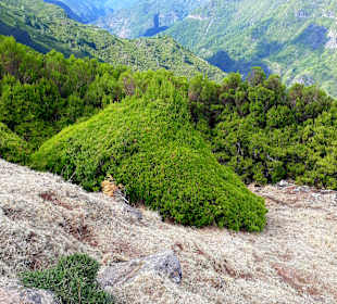 Hochebene Paul da Serra
