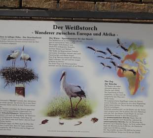 Ziegeleimuseum in Sondernheim