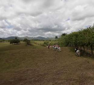 Wo man ohne Gabi nicht hinkommt