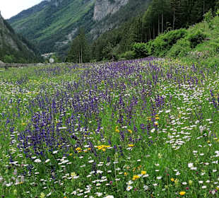 Wandern Pfunds