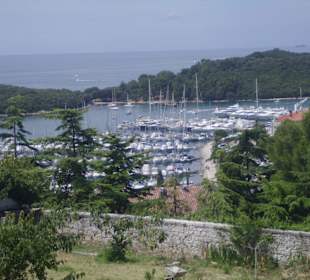 Pohled na přístav Vrsar