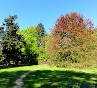 Spaziergang durch Muhles Park