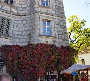 Gerade im Herbst ein Traum