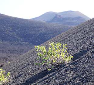 Nationalpark Timanfaya (Feuerberge)