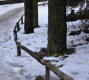 Freilichtmuseum Skansen