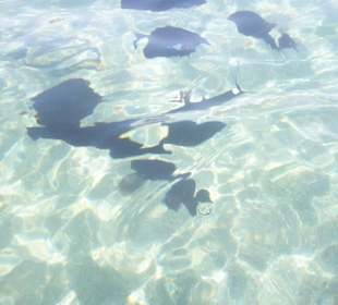 Klares Wasser