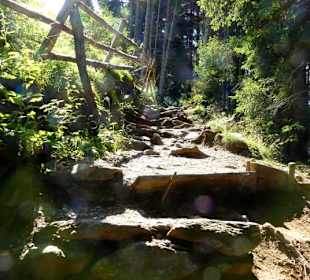 Steiniger Weg
