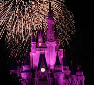 Magic Kingdom