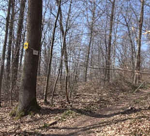 Geologischer Lehrpfad Kirnbachtal