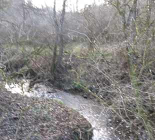 Schönbuch Schaichtal