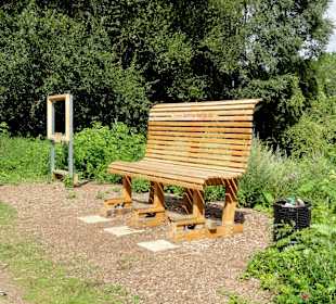 Auf dem Rundweg um den Dammer Bergsee