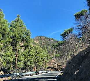 Stadtrundgang Playa del Ingles