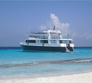 Boat-Trip mit der Mermaid