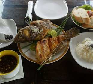 Zackenbarsch mit Beilagen