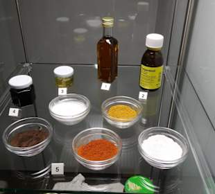 In der Sonderausstellung "Türen und Fenster"