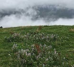 Wandern Saalbach-Hinterglemm