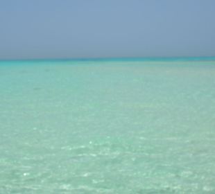 Karibik? Nein Rotes Meer