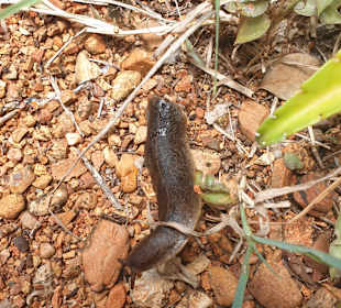 Tour & Ausflug Bayahibe