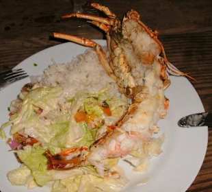 Das Mittagessen - Seavis Tours