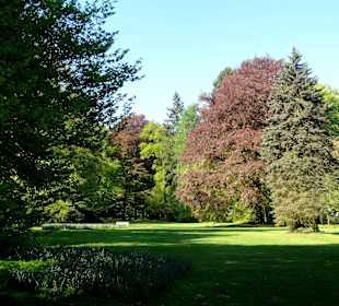 Spaziergang durch Muhles Park