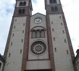 Der Dom von Würzburg (Vorderseite)