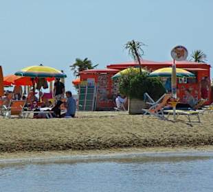 Hunde am Strand von Bibione