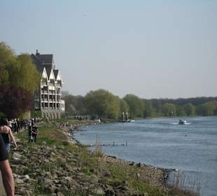 An den Maasduinen