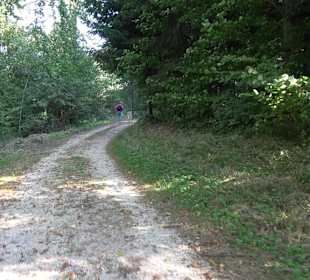 Bussen Schöpfungsweg Offingen