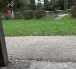 Gallorömischer Tempelbezirk