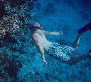 Schnorcheln am Hausriff des Hotels