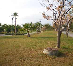 Auch im Herbst/ Winter noch schön