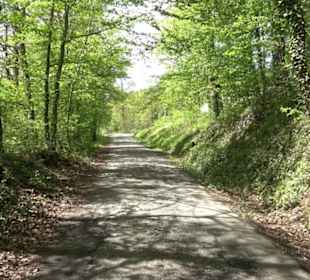 Römisches Freilichtmuseum Hechingen-Stein