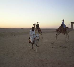 Kamelreiten in der Wüste