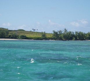 Traumhaftes Wasser in sämtlichen Blautönen