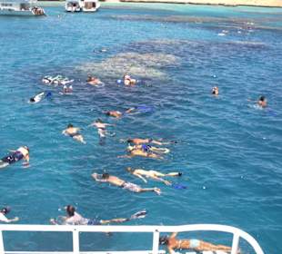 Wahnsinns Unterwasserwelt