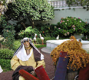 Tolle Darstellung rund um das Rathaus