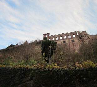 Schloss Heidelberg