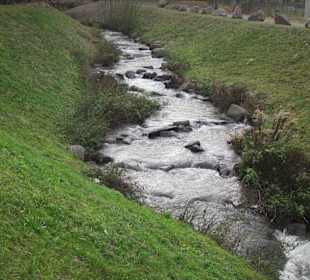 Partie an der Queich