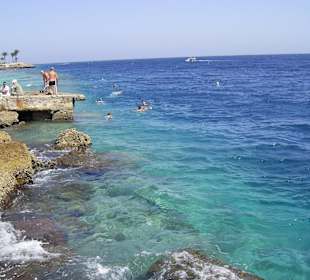 Schnorcheln am Hausriff