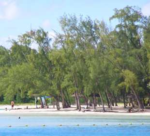 Menschemassen a la Ballermann