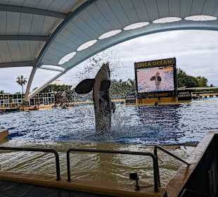 Loro Parque 