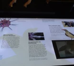 Museum für Naturkunde