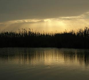 Puesta de sol en L'Albufera