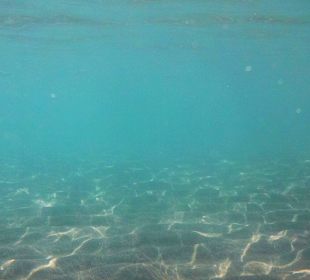 Auch unter Wasser ist es schön klar