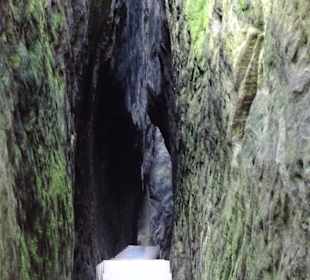Wandern Bad Schandau